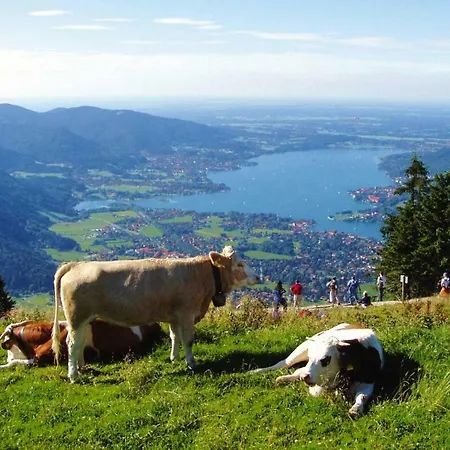 Haus Concordia In Am Tegernsee - Dal02002-dyc