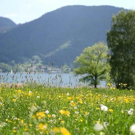 Haus Concordia In Am Tegernsee - Dal02002-dyc アパート バート・ウィーゼ